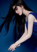 东北老女人的V31